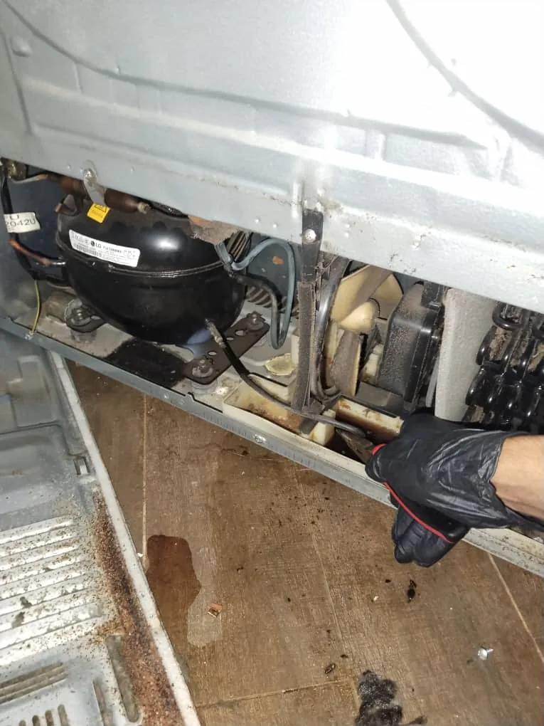 Compressor Repair